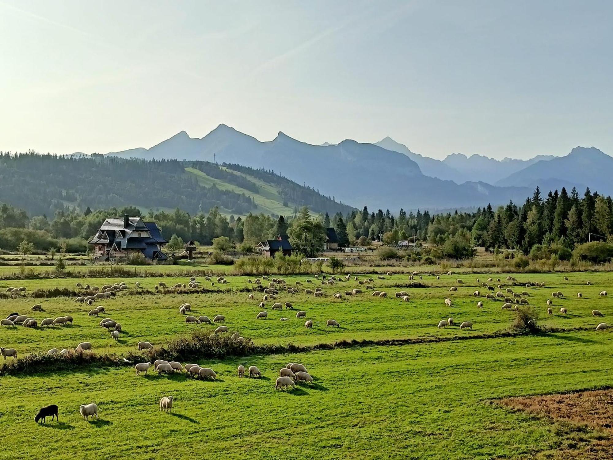 Domek Z Goralska Dusza Sleboda Jurgów Buitenkant foto